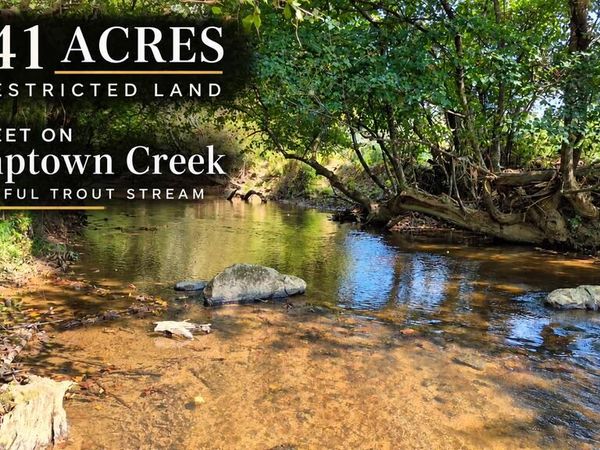 51 Evans Drive, Morganton, GA 30560