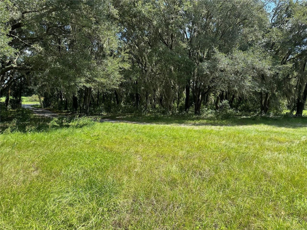 7350 SE 181st Court , Morriston, FL 32668 Photo