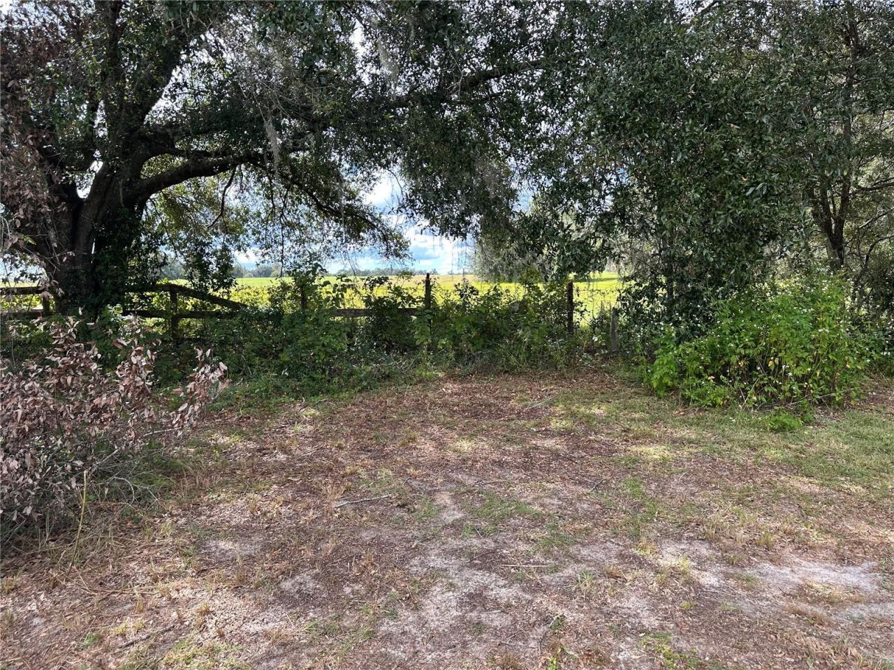 7350 SE 181st Court , Morriston, FL 32668 Photo