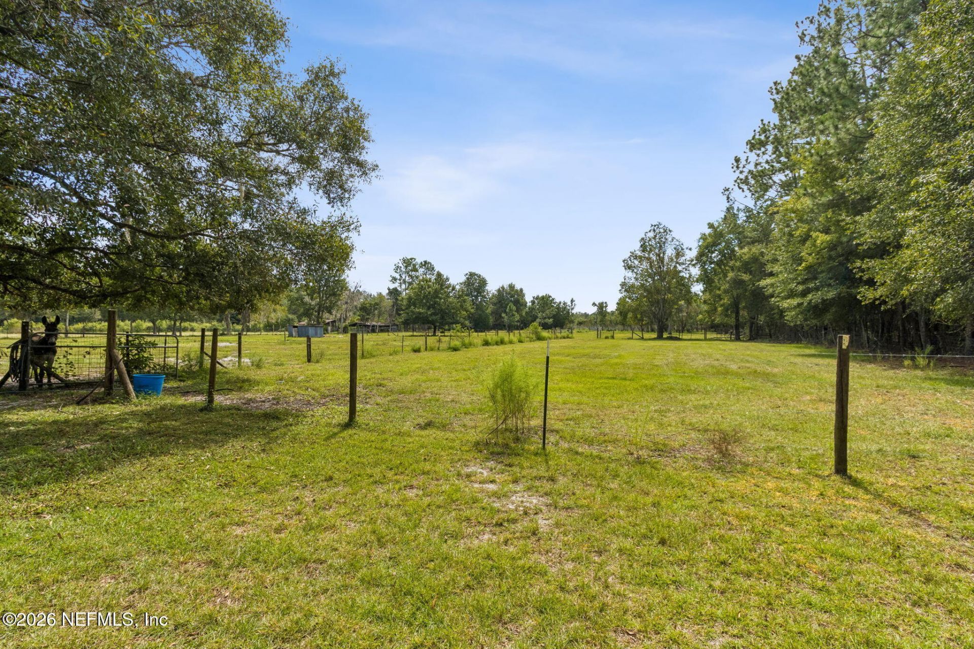 1724 NW 251st Street, Lawtey, FL 32058 Photo