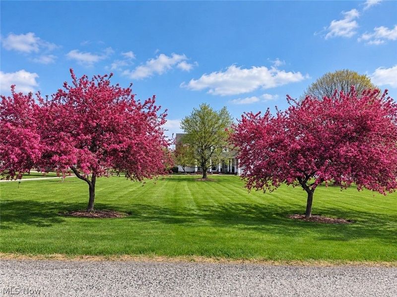 3737 Wile Road, Wooster, OH 44691 Photo 50