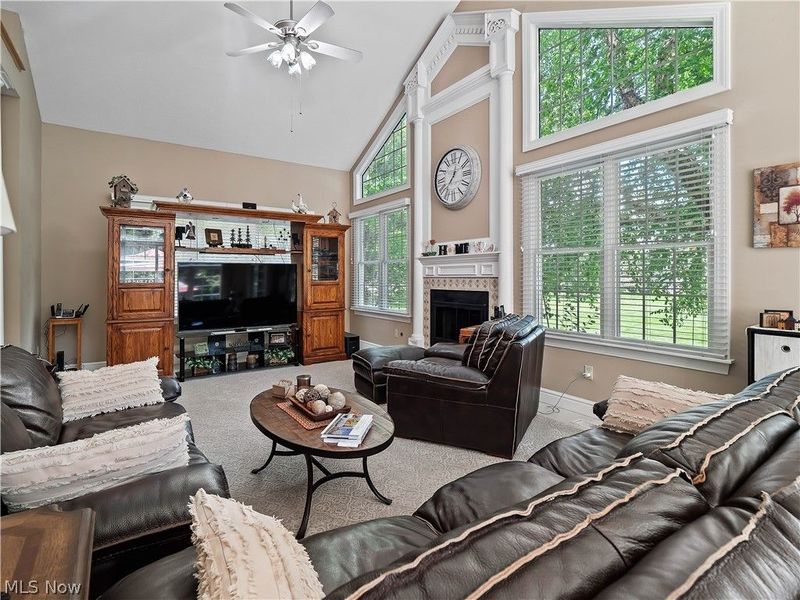 596 Longstreet, Lagrange, OH 44050 Photo 23