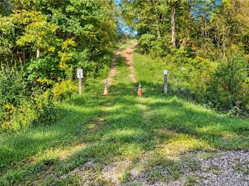 5681 Howard Price Lane, Glouster, OH 45732 Photo 9