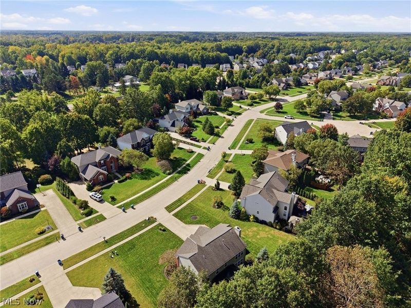 35098 Emory Drive, Avon, OH 44011 Photo 46