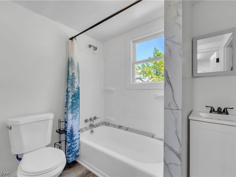 433 E 156th Street, Cleveland, OH 44110 Photo 13
