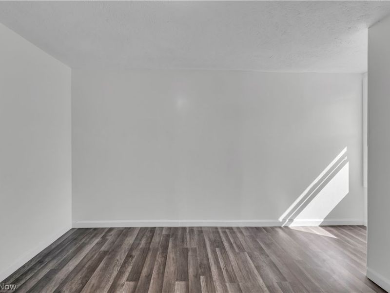 433 E 156th Street, Cleveland, OH 44110 Photo 14