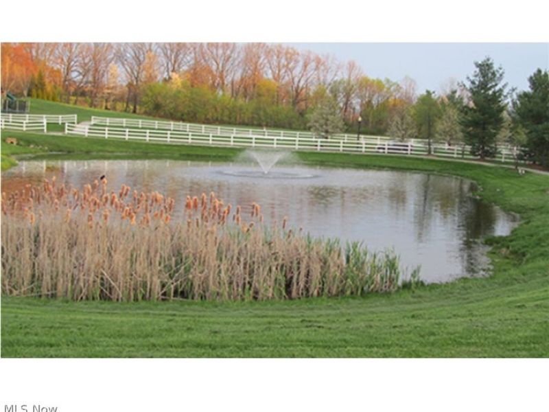 7469 Emerald Glen Avenue NW, Canal Fulton, OH 44614 Photo 42