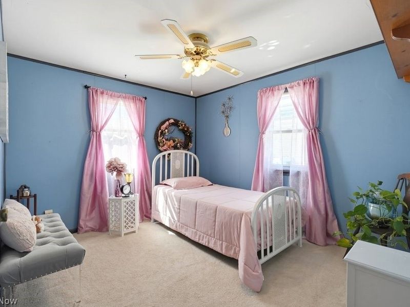 202 Hale Drive, Streetsboro, OH 44241 Photo 20