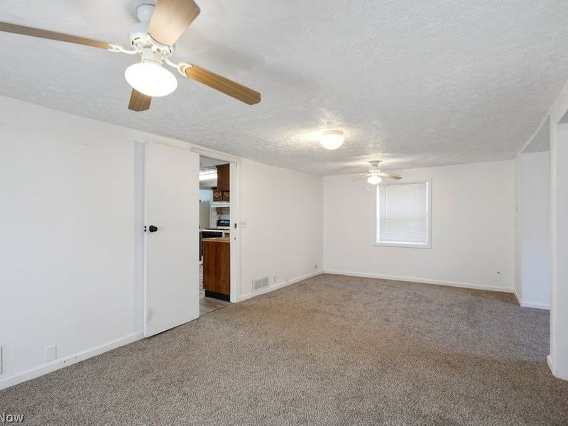 2456 Delaware Avenue, Akron, OH 44312 Photo 19