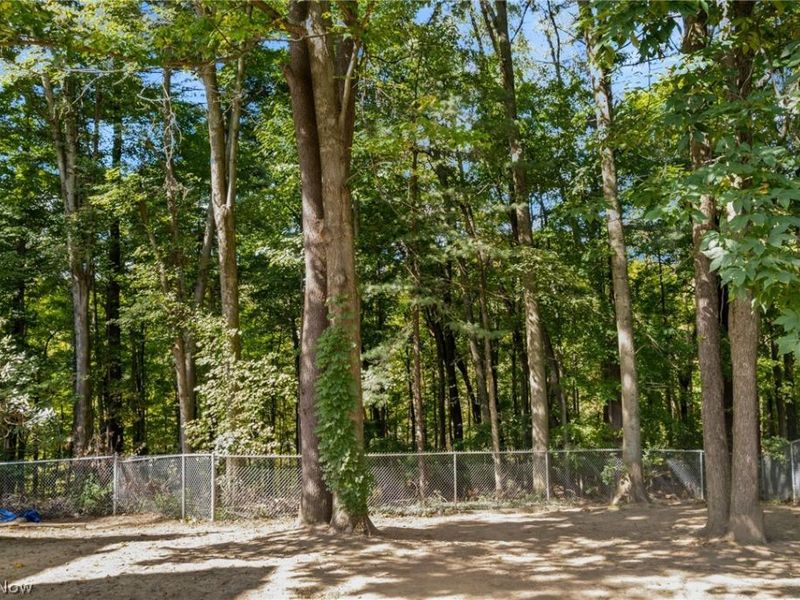 2440 Townsend Drive, Wooster, OH 44691 Photo 5