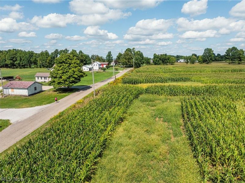 12472 Burbank Rd, Burbank, OH 44214 Photo 4