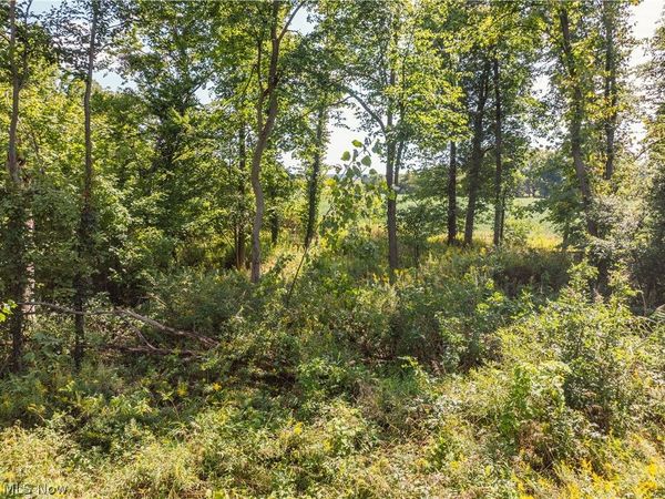 12472 Gearhart Rd , Burbank, OH 44214