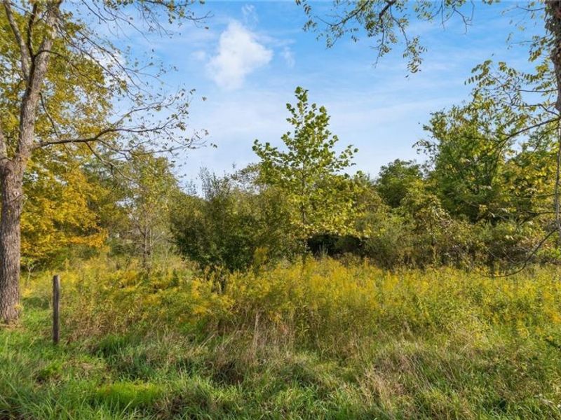 37 John Woods Road, Oak Hill, OH 45656 Photo 4