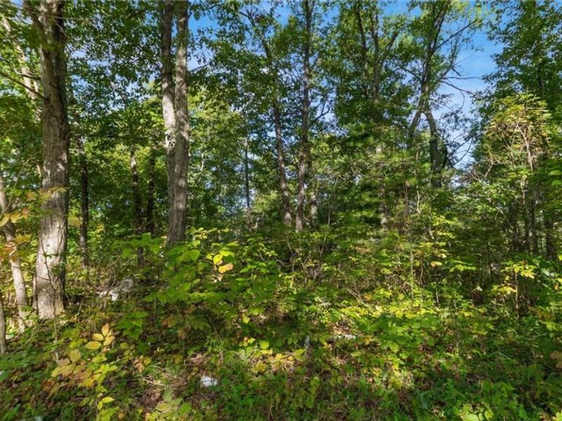 37 John Woods Road, Oak Hill, OH 45656 Photo 6