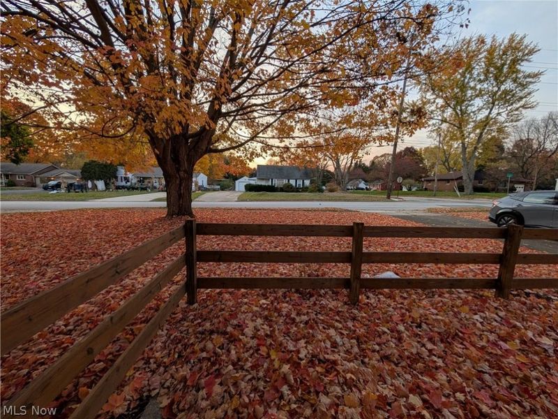 647 Longmere Drive, Kent, OH 44240 Photo 19