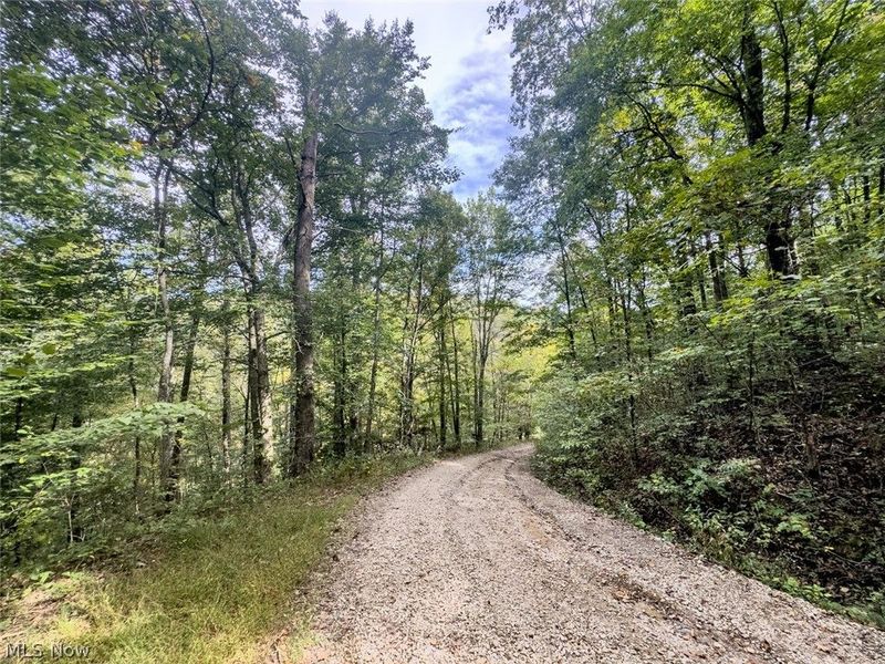15645 Township Road 287 SE, Glouster, OH 45732 Photo 3