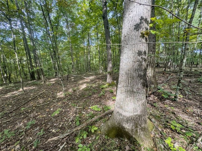 15645 Township Road 287 SE, Glouster, OH 45732 Photo 32
