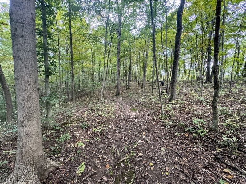 15645 Township Road 287 SE, Glouster, OH 45732 Photo 33