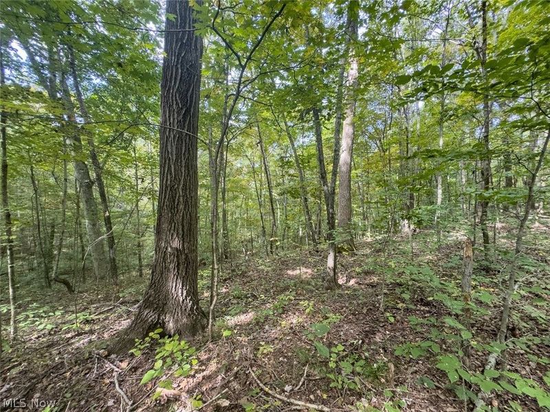 15645 Township Road 287 SE, Glouster, OH 45732 Photo 34