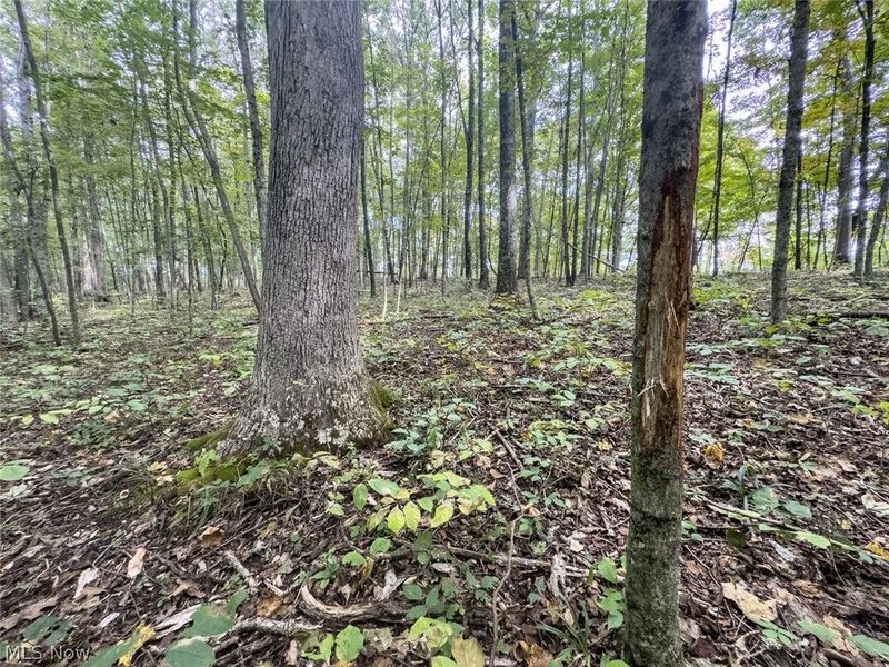 15645 Township Road 287 SE, Glouster, OH 45732 Photo 35