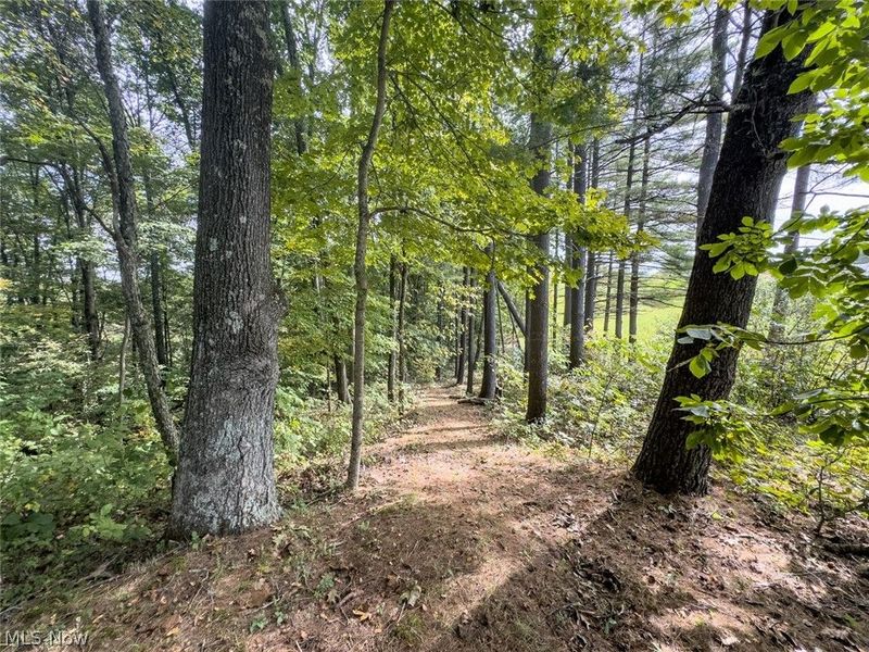 15645 Township Road 287 SE, Glouster, OH 45732 Photo 38