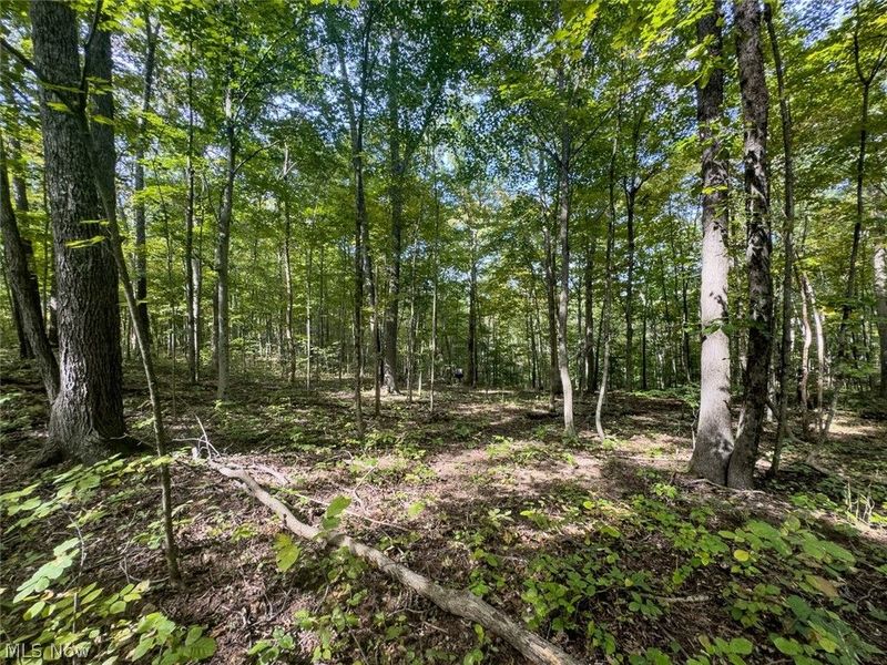 15645 Township Road 287 SE, Glouster, OH 45732 Photo 39