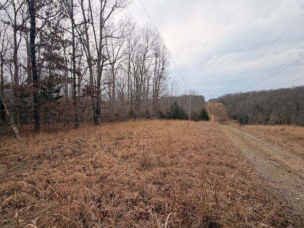 4 Blue Bird Ct , Nunnelly, TN 37137