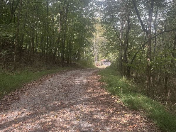 2550 Hurricane Creek Rd, Lawrenceburg, TN 38464