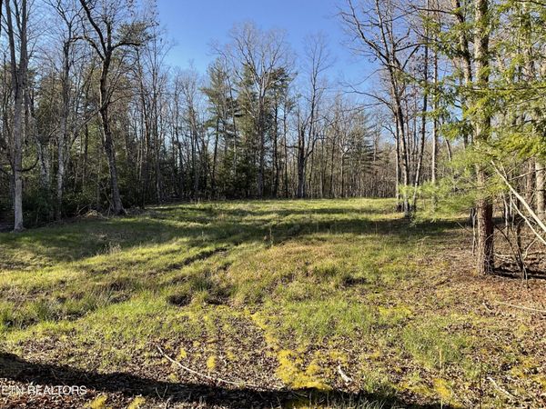 2 Pine Breeze Drive , Unit 2, Monterey, TN 38574