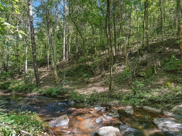 0 Dell Moore Road , Unit 3, Marble Hill, GA 30148