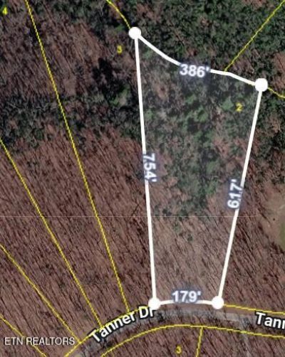 2 Tanner Drive , Lot #2, Monterey, TN 38574 Main Photo