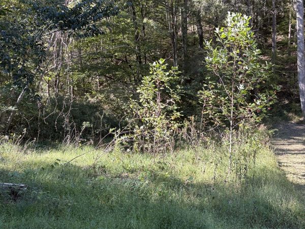0 N Clearfork Rd , Unit 1, Sevierville, TN 37862