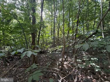 LOT 60 DOGWOOD ROAD, HARRISBURG, PA 17110