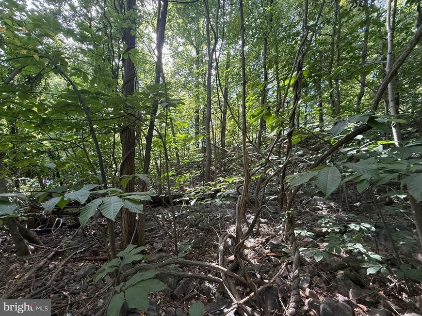 Lot 60 Dogwood Road, Harrisburg, PA 17110 Main Photo