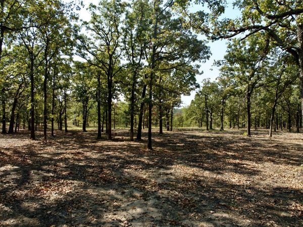 19 260th Street , Beggs, OK 74421