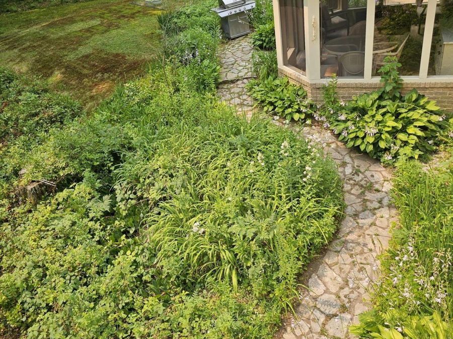 Property Image 54