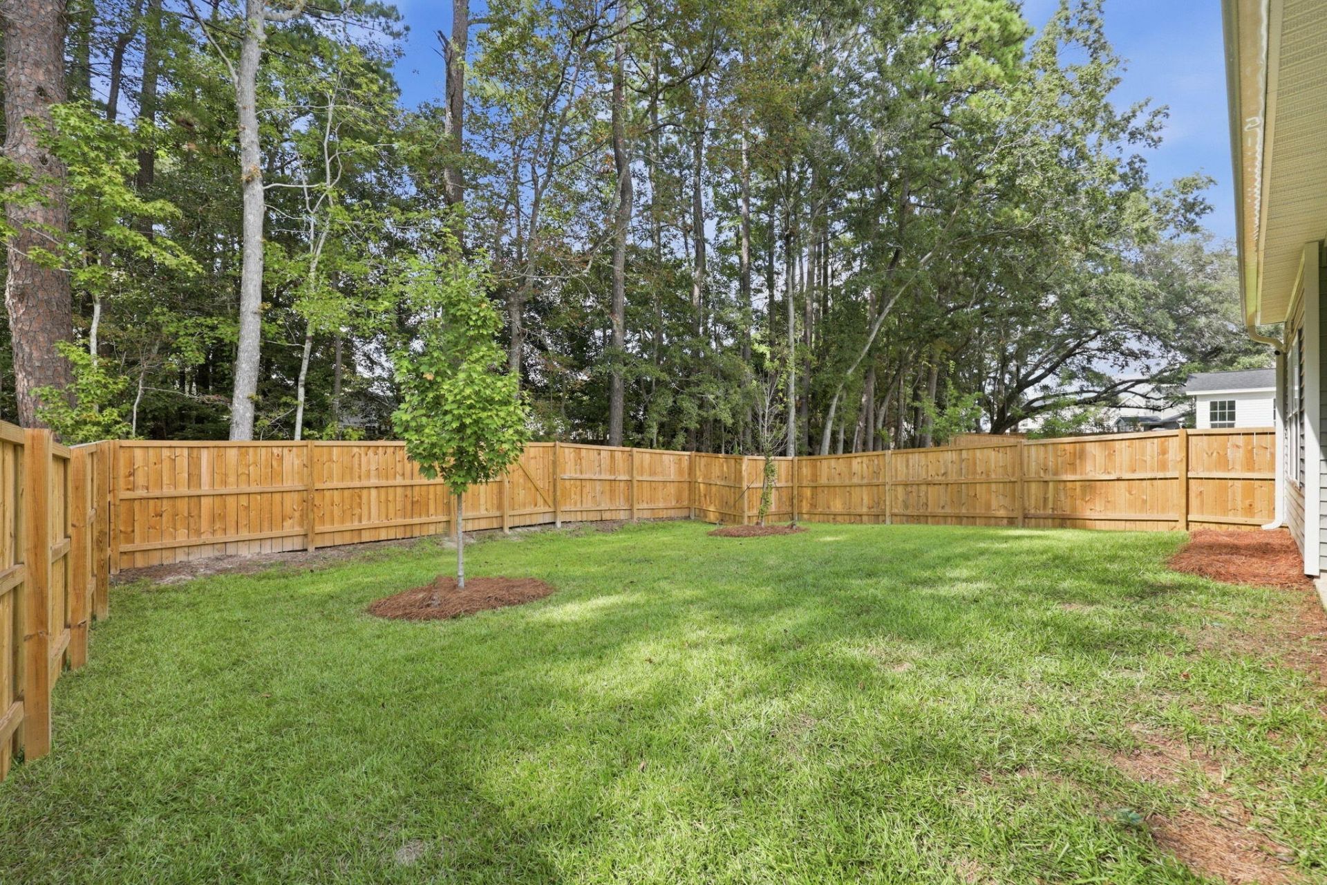 153 Casein Street Photo 44