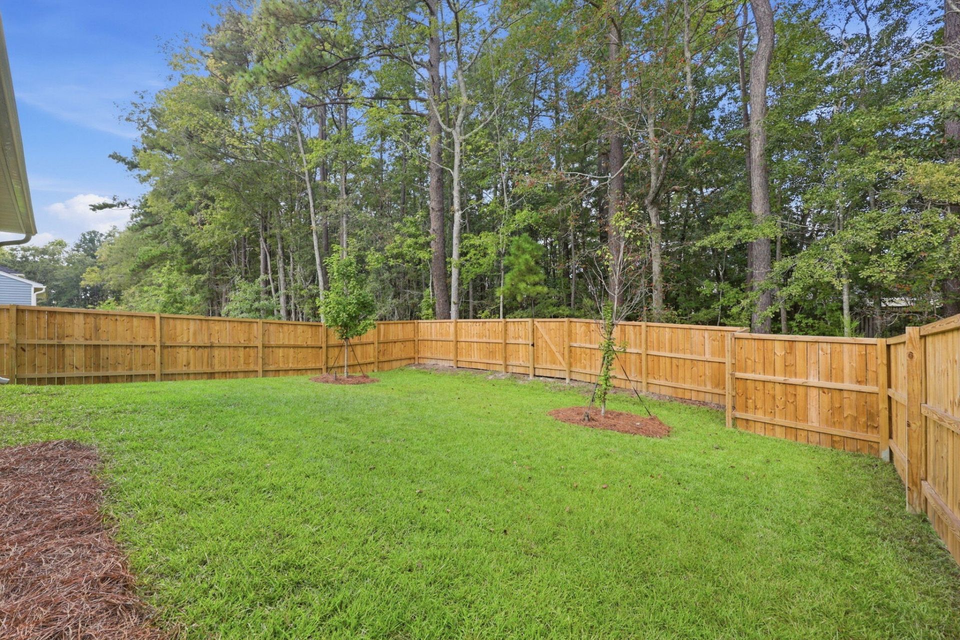 153 Casein Street Photo 47