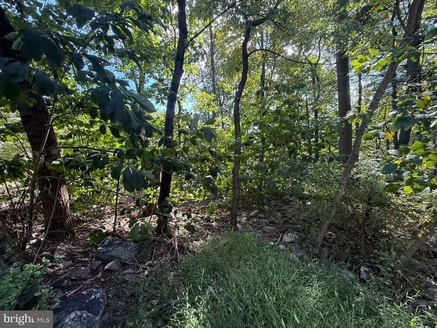 Lot 63 Dogwood Road, Harrisburg, PA 17110 Main Photo