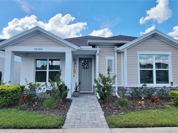 28564 SWEET PERSIMMON DRIVE, WESLEY CHAPEL, FL 33543