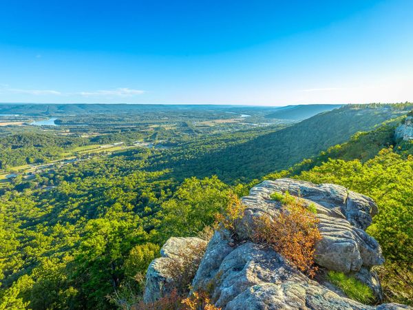 0 Hovering Hawk Drive, Jasper, TN 37347