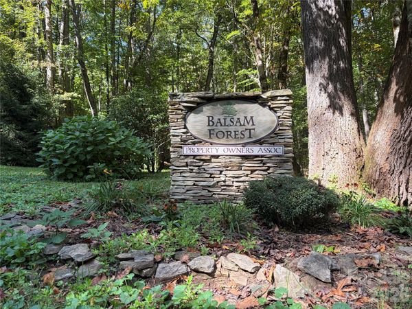 14 Fern Trail, Waynesville, NC 28786