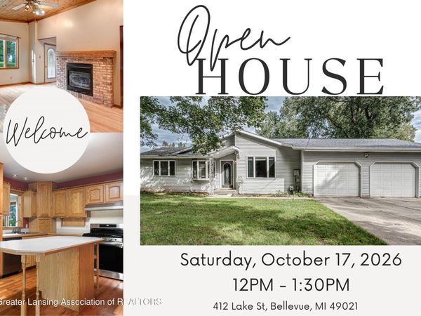 412 Lake Street, Bellevue, MI 49021