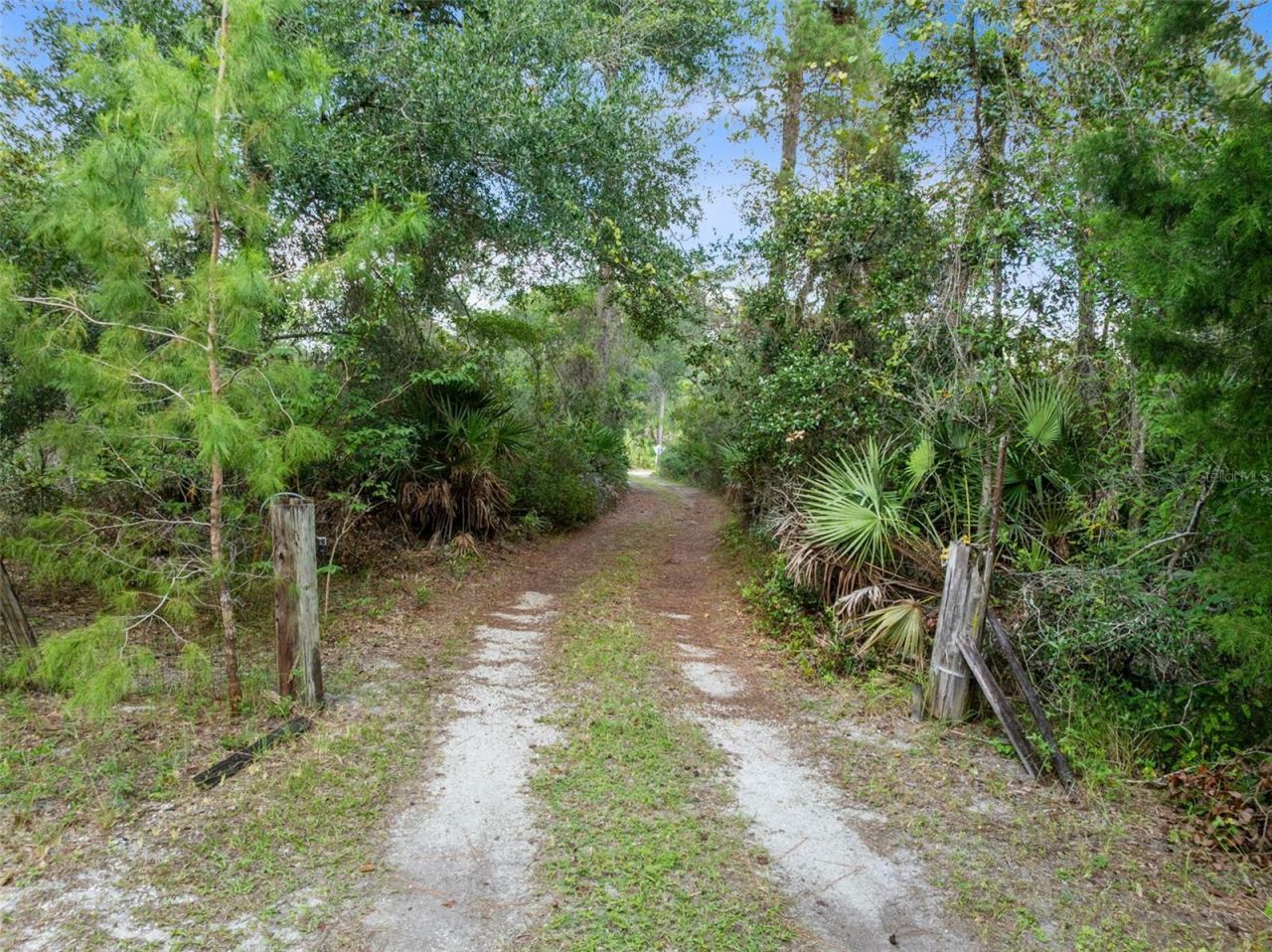 377 Riverwoods Trail, Chuluota, FL 32766 Photo