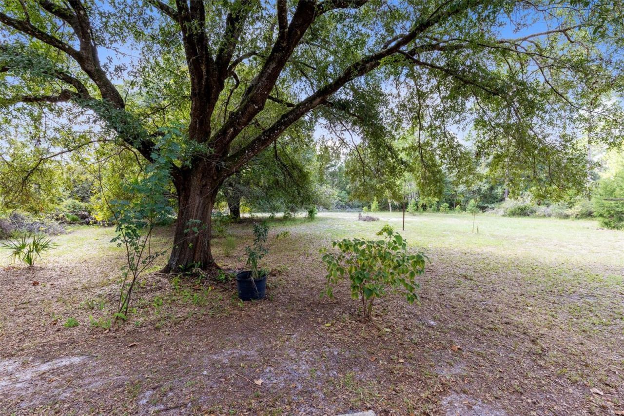 377 Riverwoods Trail, Chuluota, FL 32766 Photo