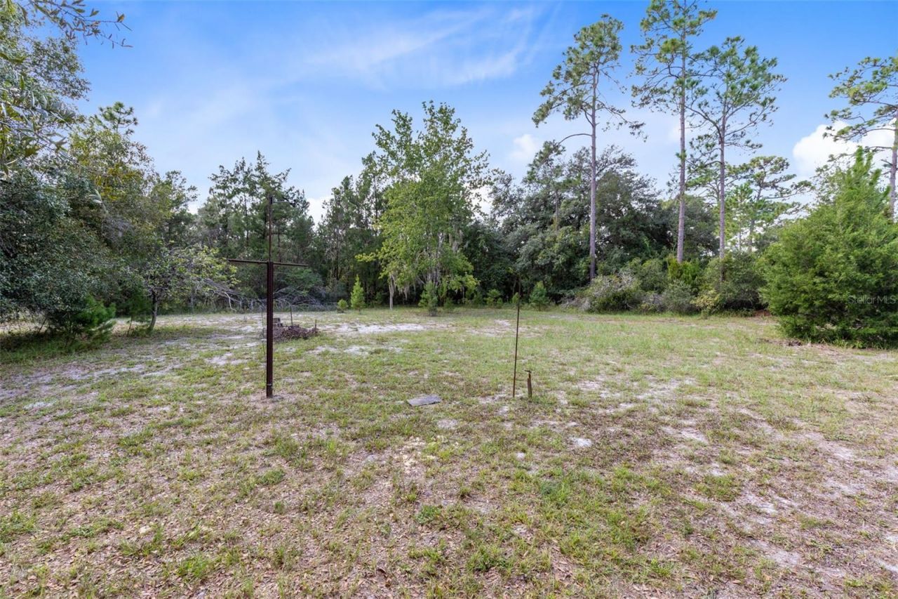 377 Riverwoods Trail, Chuluota, FL 32766 Photo
