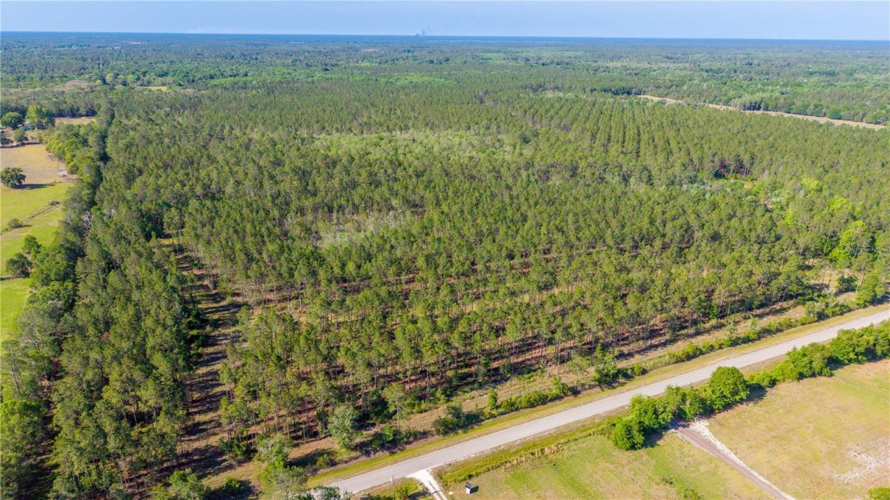 Nw 57th Lane, Starke, FL 32091 Photo