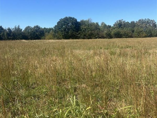 lot 14 Hunt Lane, Adolphus, KY 42120