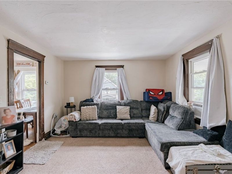 380 E 165th Street, Cleveland, OH 44110 Photo 4
