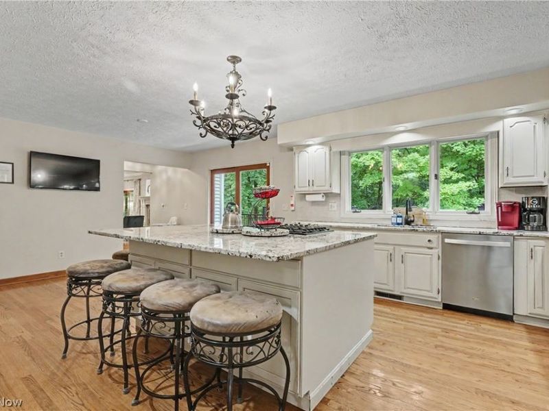 1295 Connecticut Woods Drive, Hudson, OH 44236 Photo 15